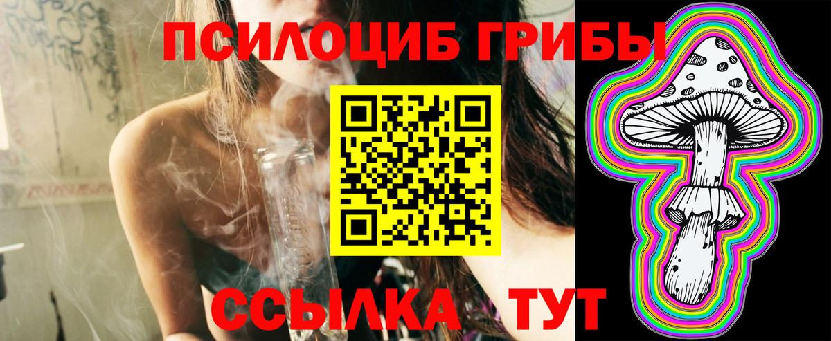 купить наркотик  Псилоцибиновые грибы GOLDEN TEACHER  Вход с VPN  Татарск 