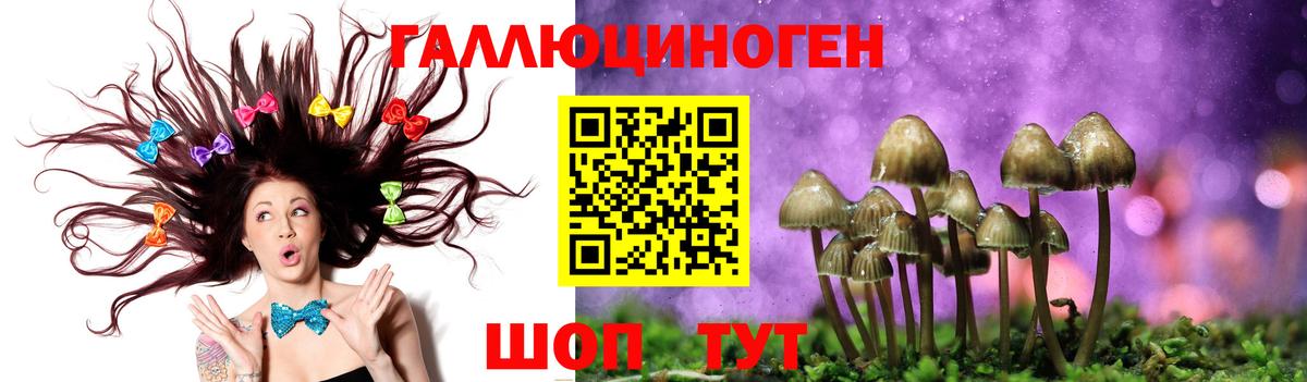 Псилоцибиновые грибы Magic Shrooms Татарск